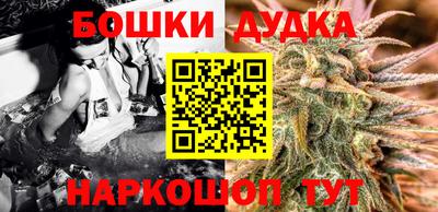 индика Кандалакша