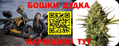 индика Кандалакша
