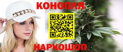 индика Кандалакша